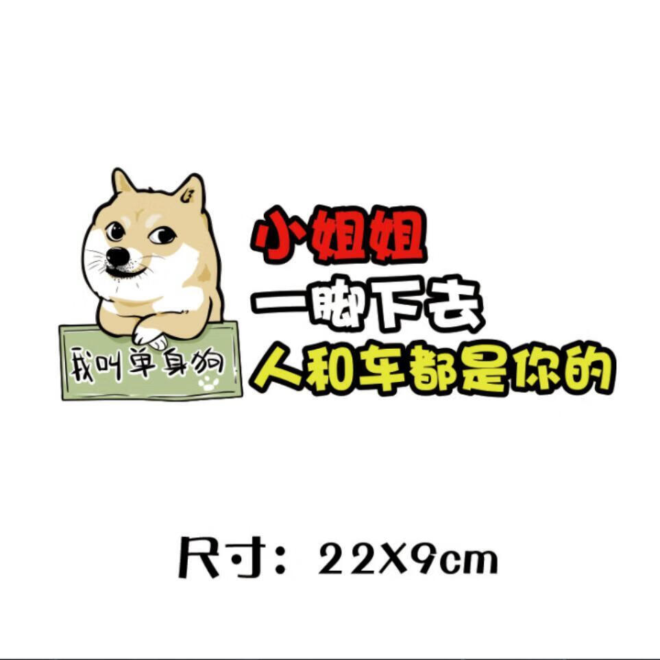 2020车贴csca中国单身狗保护协会搞笑汽车贴纸改装个性油箱盖贴画