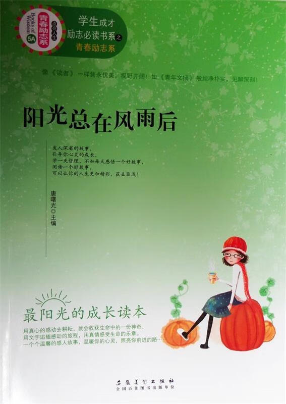 阳光总在风雨后【正版图书,放心购买】