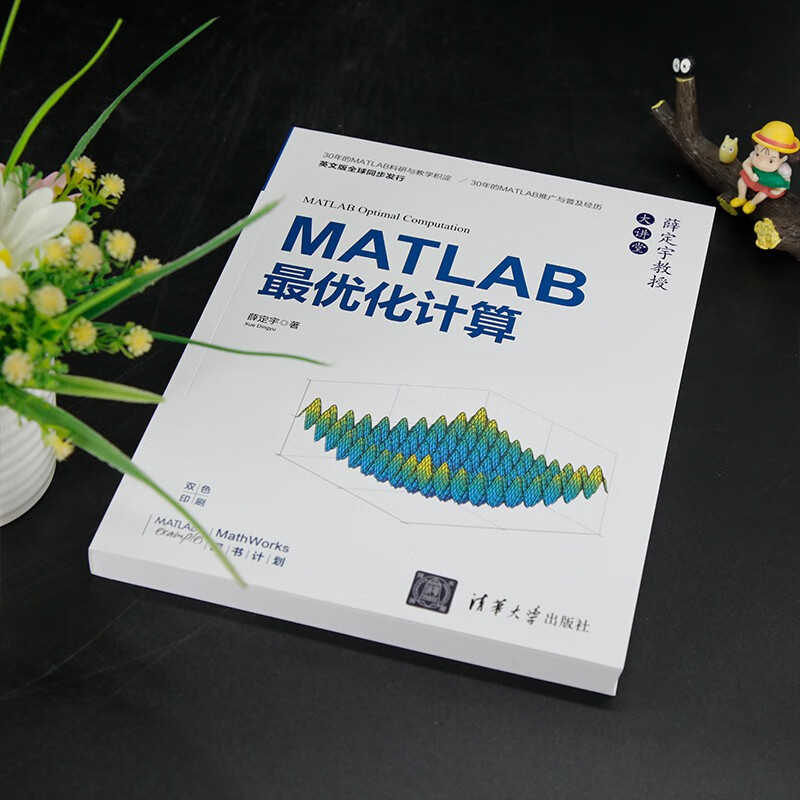 MATLAB最优化计算详情图