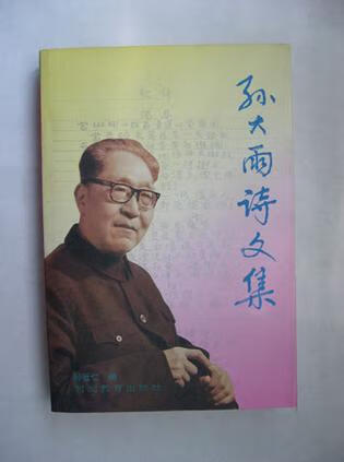 孙大雨诗文集 孙大雨【正版书】