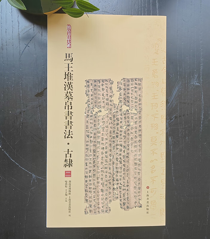 简帛书法大系·马王堆汉墓帛书书法:古隶(二)
