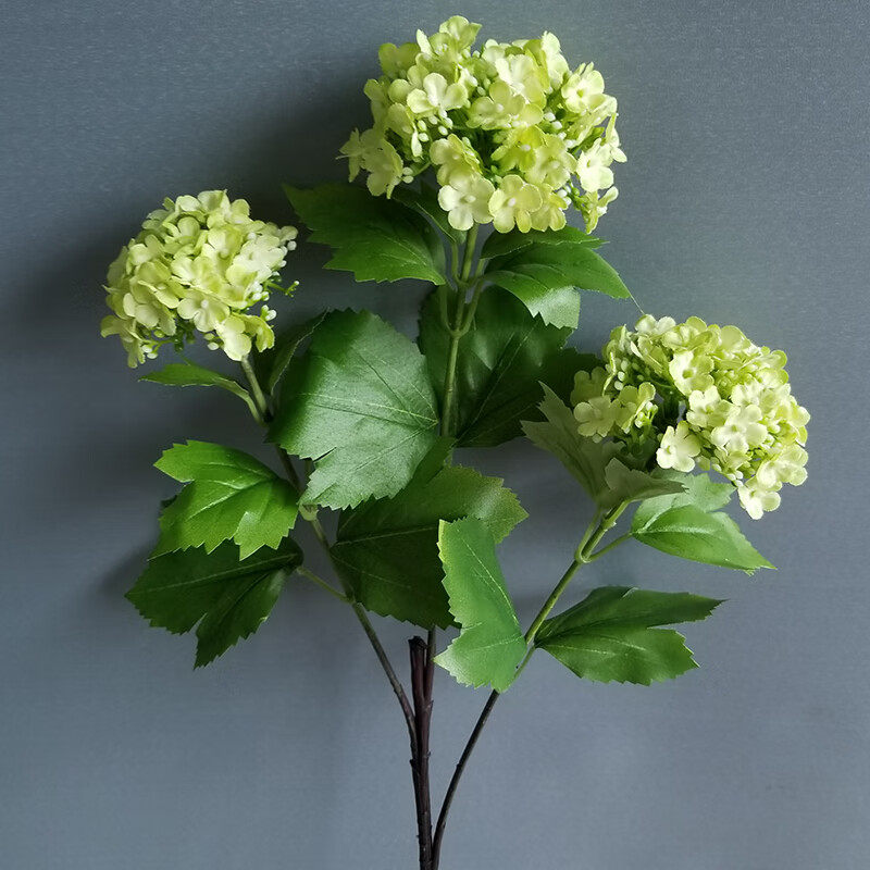加密球形花朵,颜色自然 绿色3头绣球(1支价)