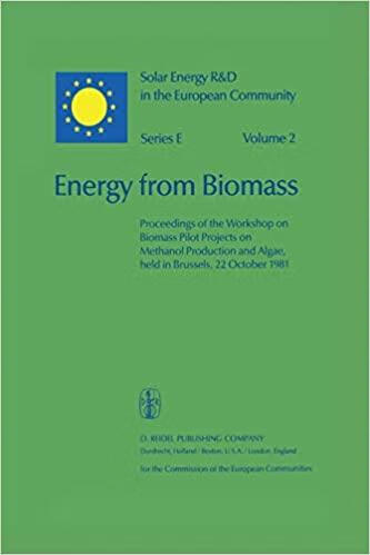 预订 energy from biomass