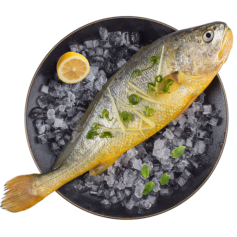 海名威 冷冻宁德黄花鱼600g/条 大黄鱼 深海鱼 生鲜鱼类 海鲜水产 