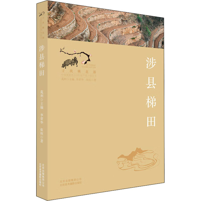 涉县梯田