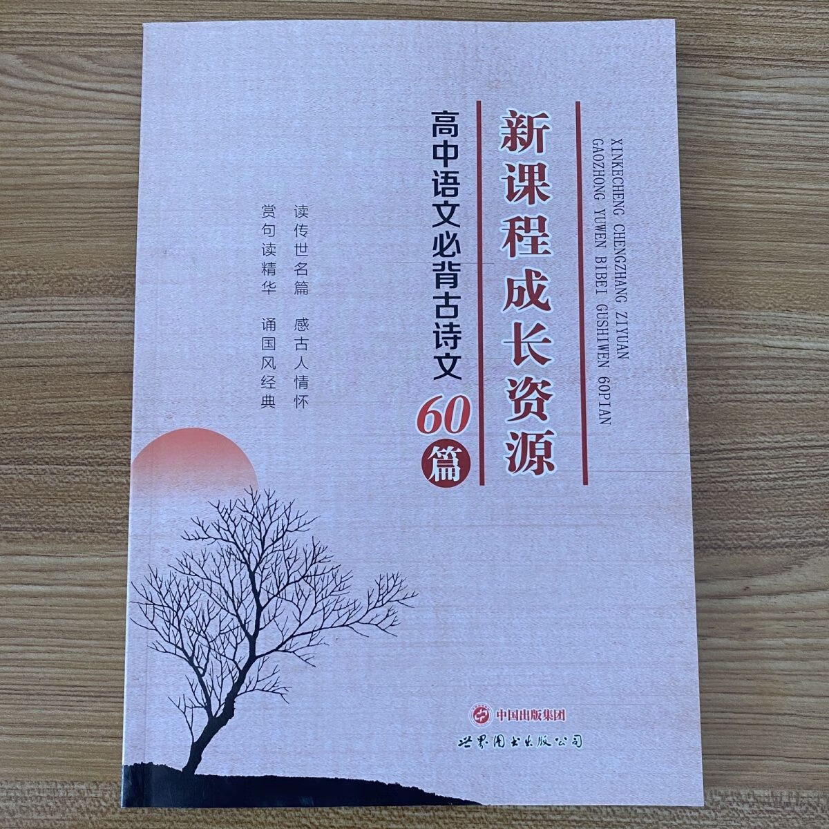 2023 新成长资源 古诗文60篇