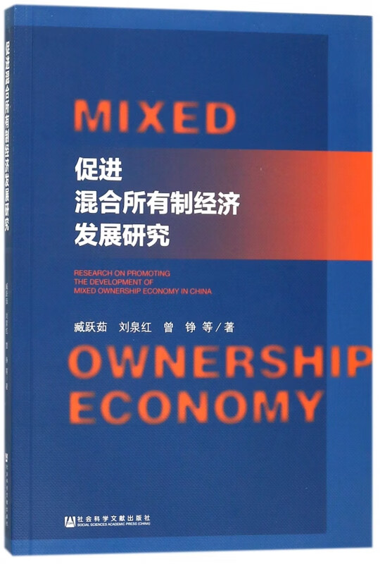 促进混合所有制经济发展研究