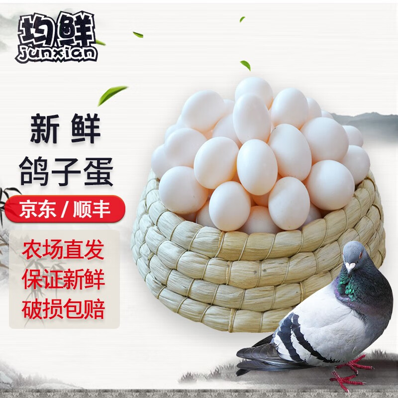 均鲜新鲜初生鸽子蛋宝宝鸽蛋杂粮喂养农家田园养殖特产信鸽蛋白鸽蛋 30枚新鲜鸽子蛋