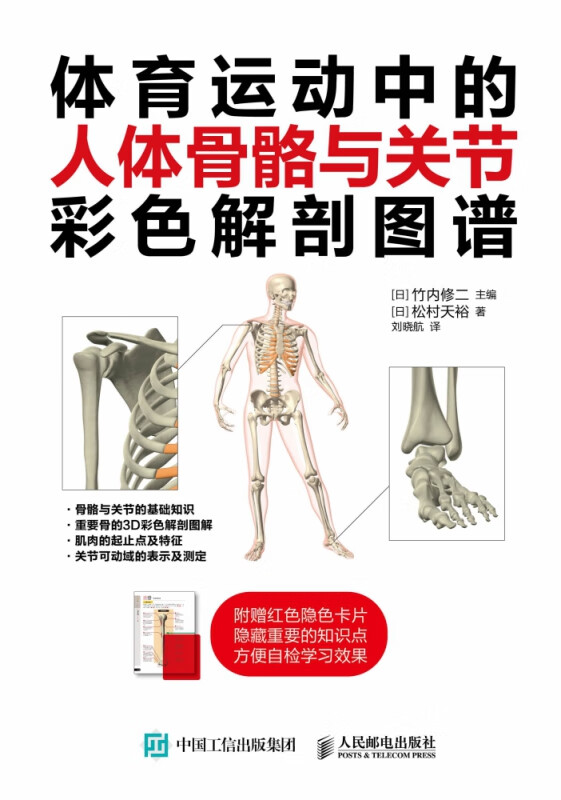 体育运动中的人体骨骼与关节彩色解剖图谱