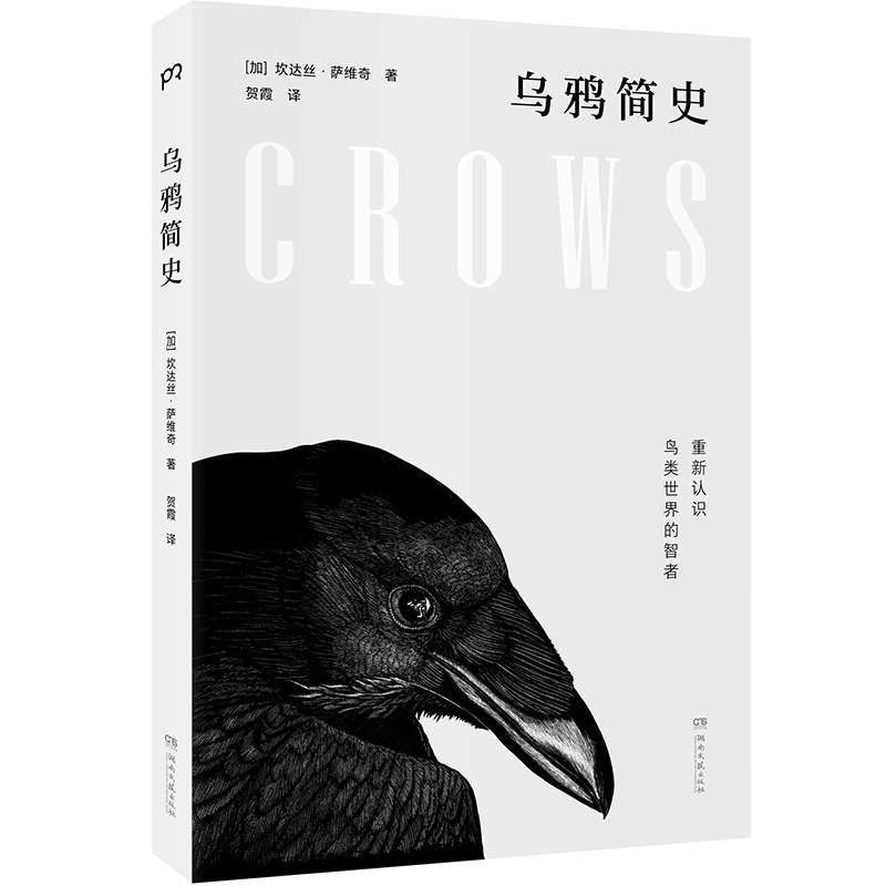 乌鸦简史(精)