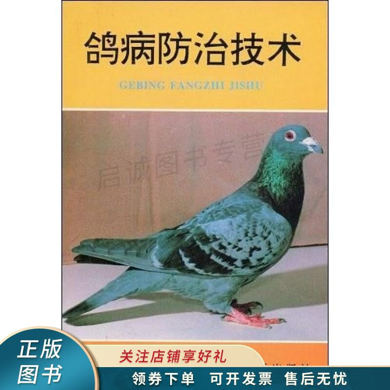 鸽病防治技术 【稀缺图书,放心购买】