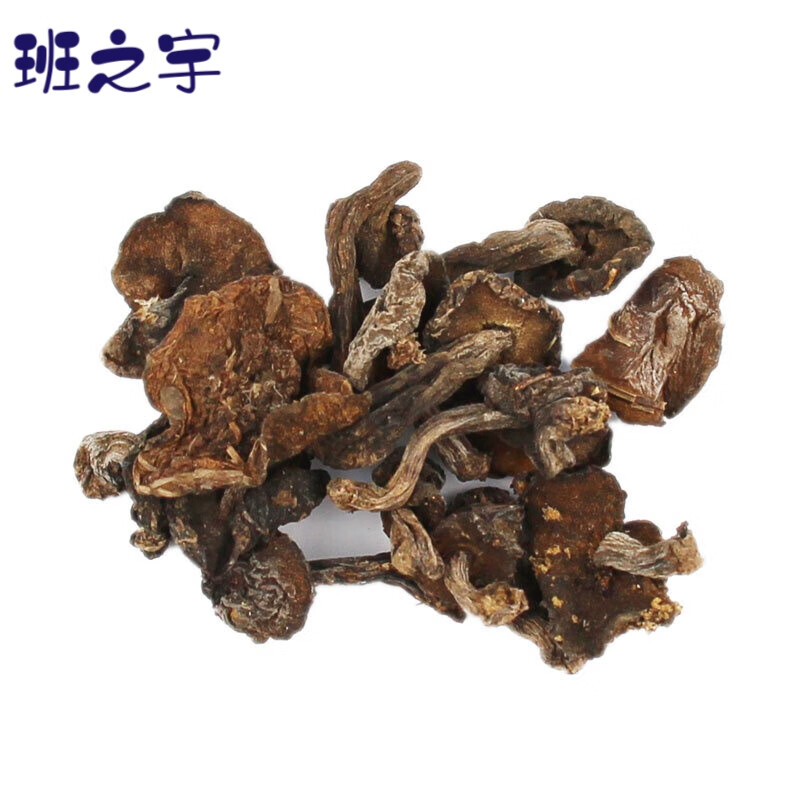 虎钢馋新货松蘑菇松莪松峨峨子黑蘑菇家用干活东北特产250g