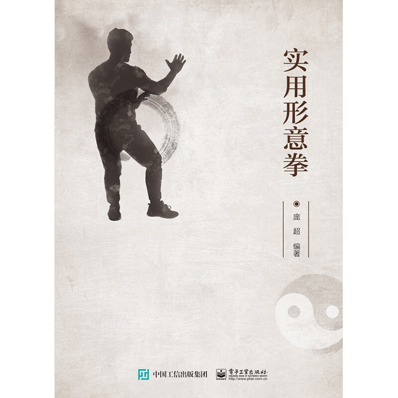 庞超 拳击入门指南宝典  武术入门 内家拳武功指导书 武术实战训练书
