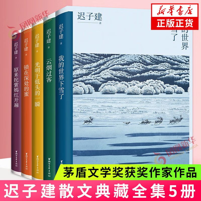迟子建作品自选集 茅盾文学奖鲁迅文学奖得主迟子建 额尔古纳河右岸 也是冬天也是春天等【单本套装自选】凤凰新华书店正版书籍 迟子建散文精选集 典藏版全套5册【定价225】