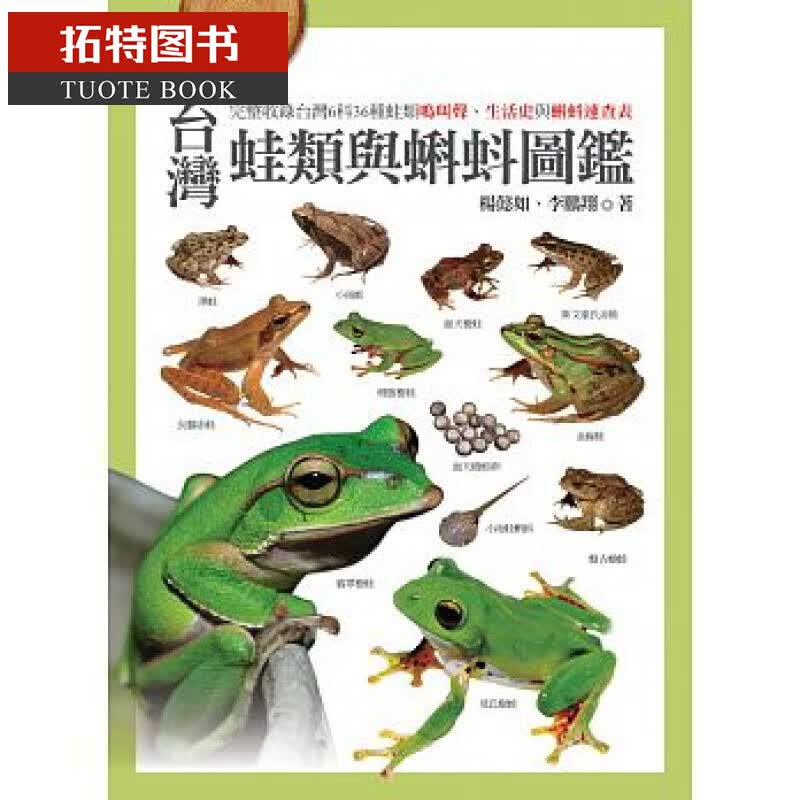 预售 中台湾蛙类与蝌蚪图鉴 猫头鹰