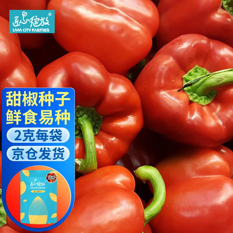 iam city farmer 袋装甜椒种子甜椒种籽鲜食香甜家庭园艺阳台盆栽2g装