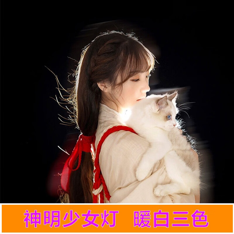 尚谱 神明少女补光灯拍照红头发丝灯led室内直播背景氛围灯才艺美食