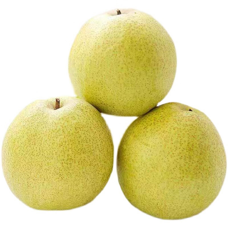 驻晨(zhuchen)安徽酥梨 砀山当季新鲜梨子 水果脆香甜梨 3斤