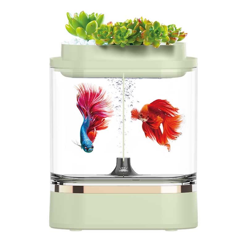 良心剖析画法几何c300鱼缸水族箱做工如何？看看很有必要啦