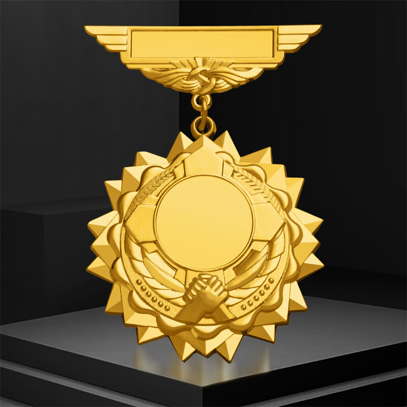 勋章纪念章定制纯银金属胸章荣誉徽章周年先进工作者奖牌摆件 金色 下