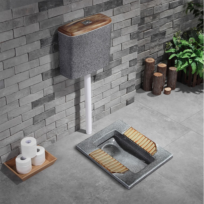 帝王蹲便器蹲便器陶瓷水箱套装彩色整套蹲坑式家用便池卫生间防臭器