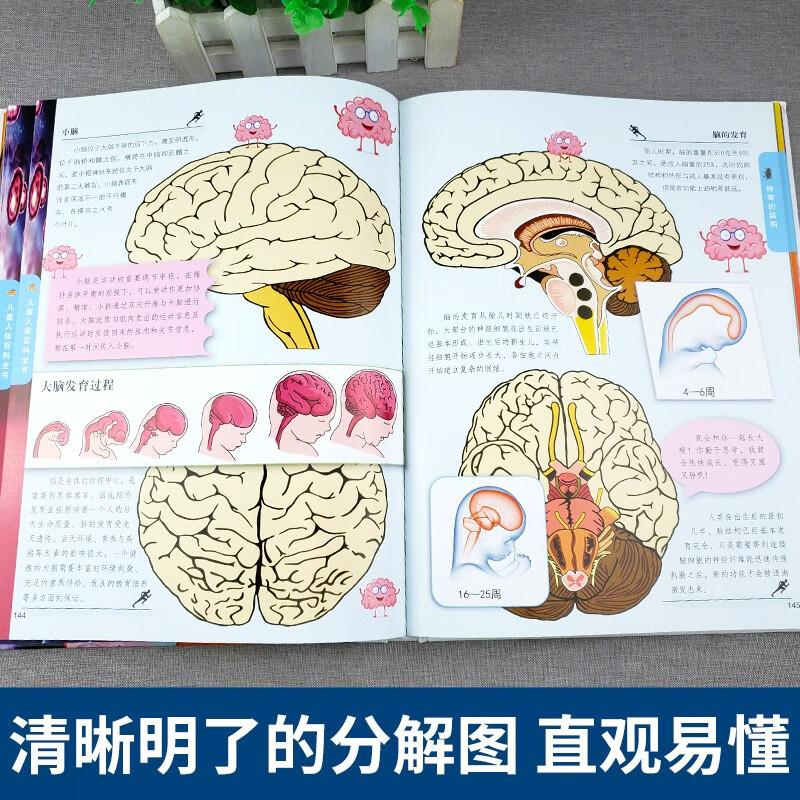 儿童百科全书（全4册）地球大百科+海洋百科全书+人体百科全书+交通工具百科全书详情图