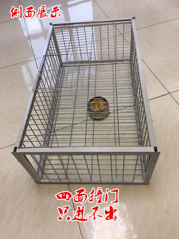 hkml鸽子撞门鸽子活络门笼撞门鸽笼铁笼只进不出跳笼天落笼撞门自动门