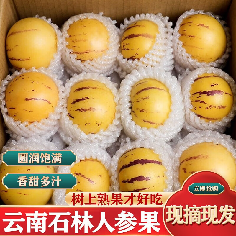 MPPMCK云南石林树上熟人参果圆果黄肉产地直发 5斤装净重4.5斤+ 云南人参果 精选   净重4.5斤单果110-130g
