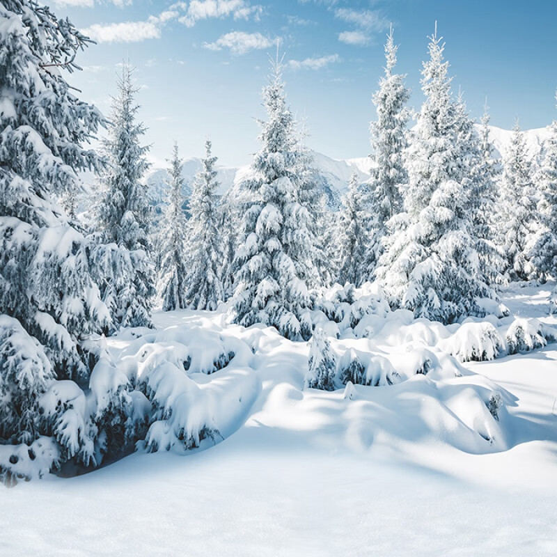 新款雪山冬天森林室内雪景背景布雪地写真拍照影楼摄影背景布定制款