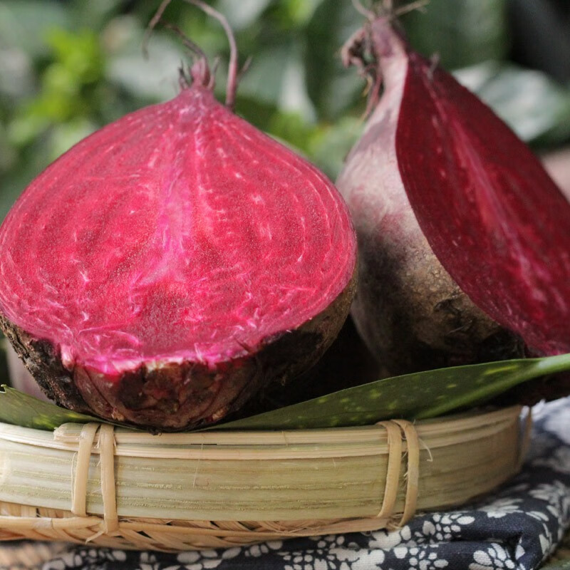 山野云涧新鲜甜菜根  2.5kg 新鲜菜头甜菜头红菜头菾菜火焰菜时令蔬菜