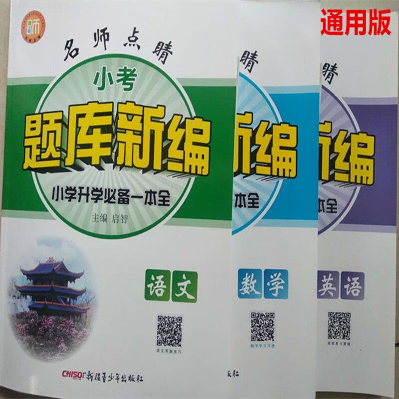2023版名师点晴 小考 题库新编小学升