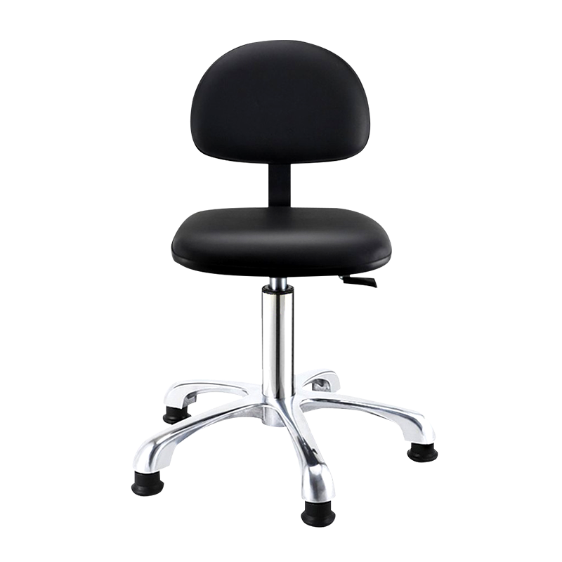 盛浪防静电椅子 带靠背学校医院实验室椅子工厂车间流水线工作凳子无尘室可升降旋转椅子
