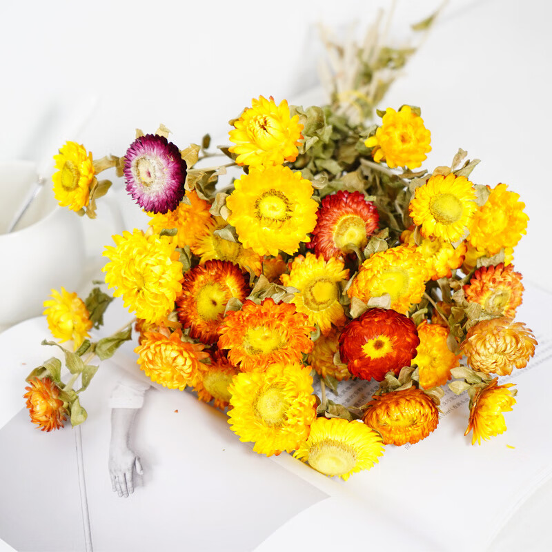 JD干花价格走势|干花价格比较