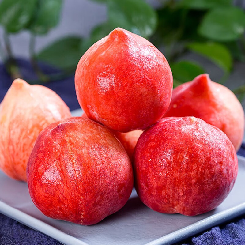 葱姜蒜椒京东价格走势图哪里看|葱姜蒜椒价格走势