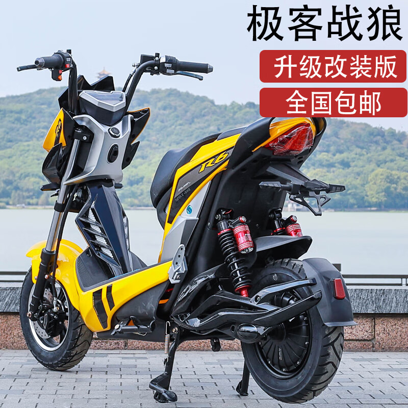 雅毅酷车极客电动车新款x战警电瓶车高速电摩改装成人代步车男女战狼