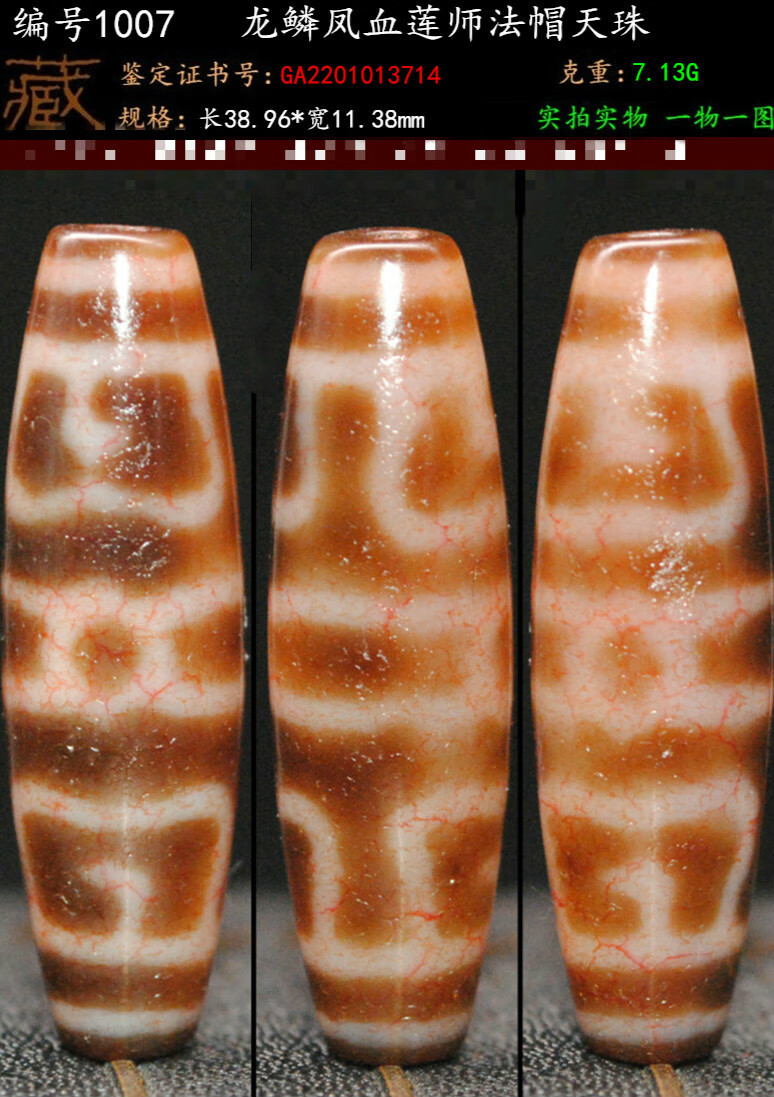 编号1007龙鳞凤血莲师法帽天珠