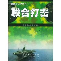 联合打击——新概念丛书 宁凌