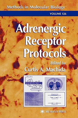 预订 adrenergic receptor protocols