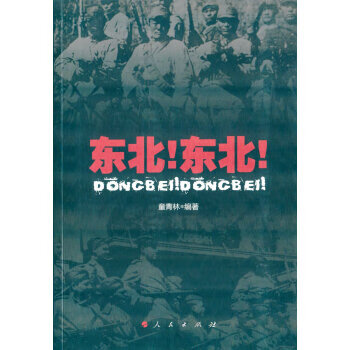 东北东北 童青林