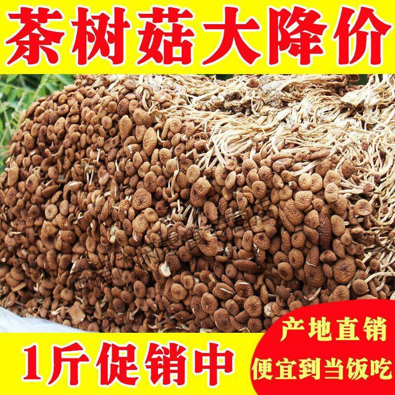 食在过瘾500g新鲜农家茶树菇干货不开伞茶薪菇250g香菇蘑菇特产菌类 500g 精选装