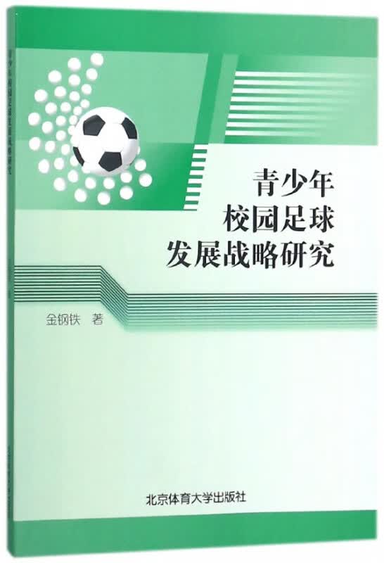 青少年校园足球发展战略研究