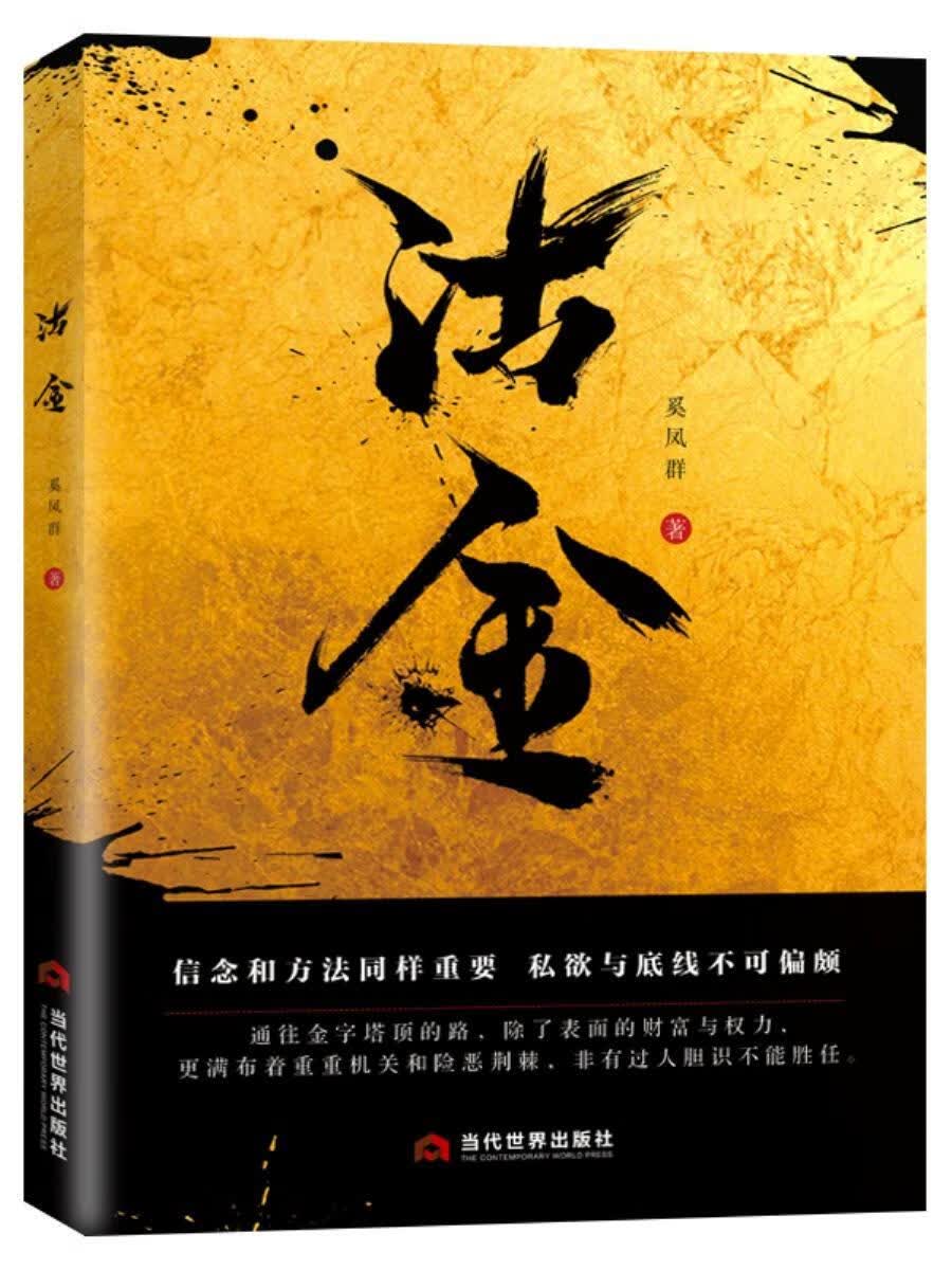 沽金 奚凤群 当代世界出版社 小说 书籍