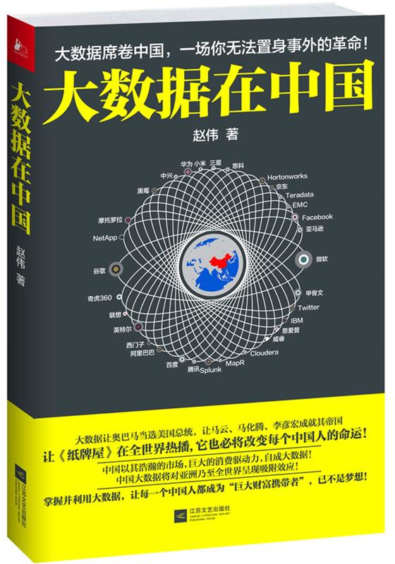 大数据在中国 赵伟