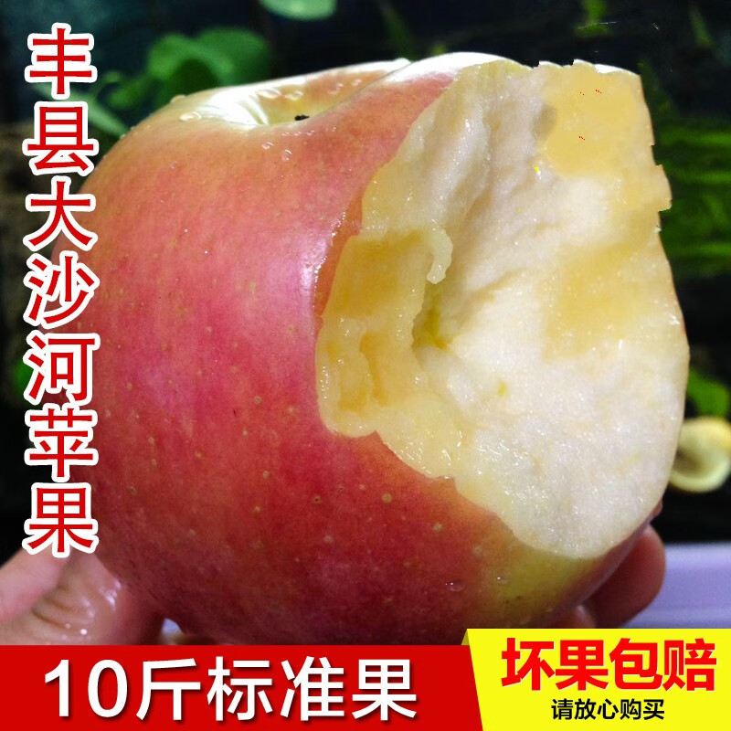 2021年新鲜大沙河红富士苹果带箱10斤装 坏果包赔 现摘现发 新鲜水果