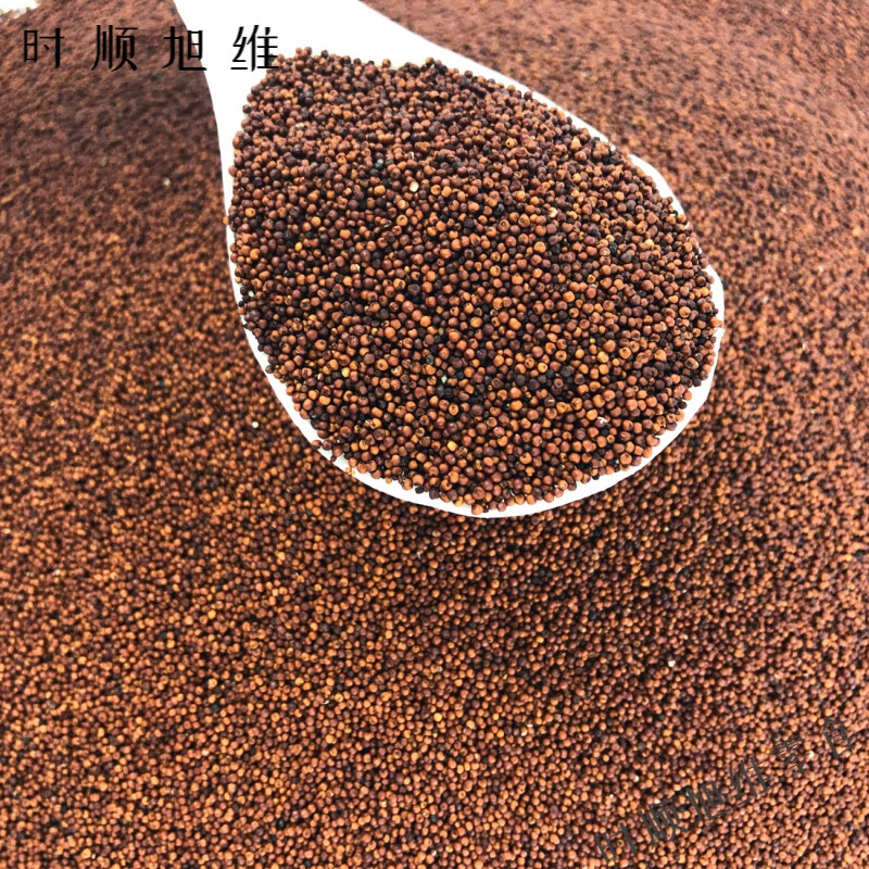 欧贤禾广西粟米粒龙爪粟拳头粟小枕头鸭脚粟米粥鸭脚栗米红色粟米