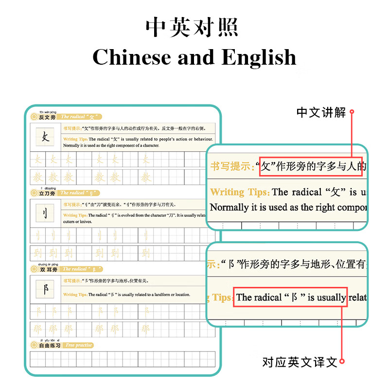 中文书写基础练习截图