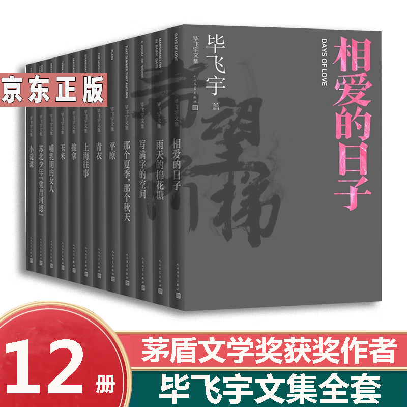 毕飞宇文集(12册)推拿 小说课 写满字的空间 苏北少年"堂吉诃德"