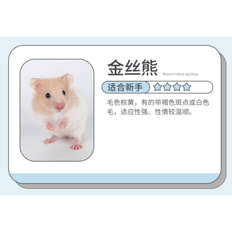 打过疫苗出现鸡皮肤图片(手臂有鸡皮肤可以打疫苗吗)