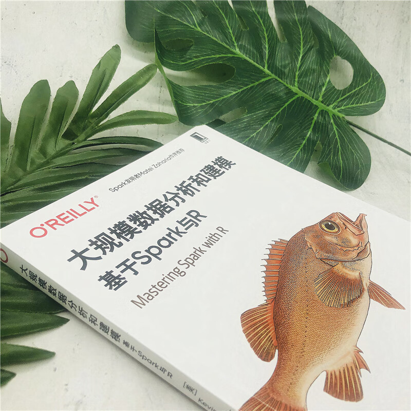 大规模数据分析和建模：基于Spark与R详情图