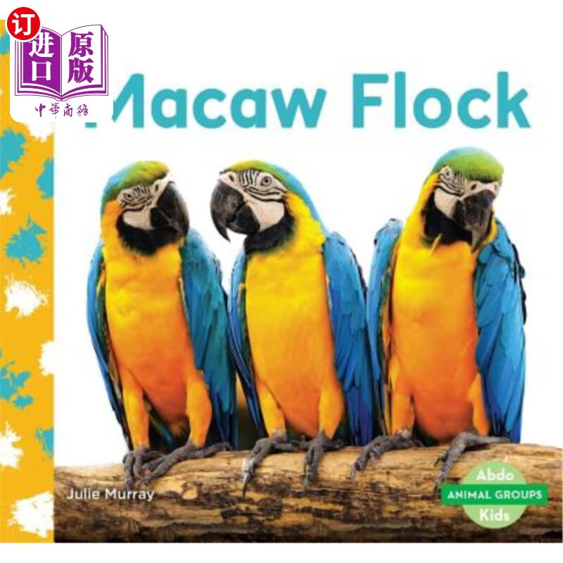 Macaw 相关京东优惠商品 价格图片品牌优惠券 虎窝购